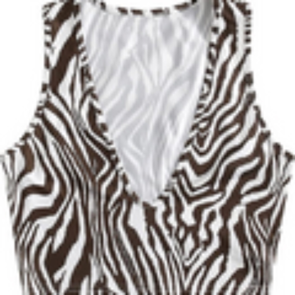Women's Zebra Striped Plunging V Neck Sleeveless Crop Tank Top